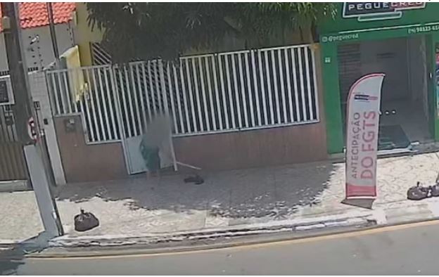 Mulher é flagrada espancando gato até a morte com pedaço de pau