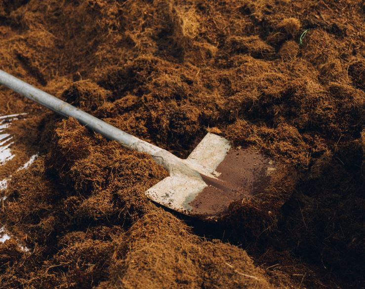 Homem é preso suspeito de tentar matar 'colega de bar' a golpes de pá no Amazonas