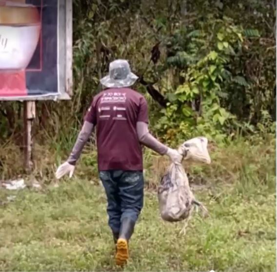 Animais mortos jogados próximo a aeroporto aumentam riscos de acidentes no Amazonas
