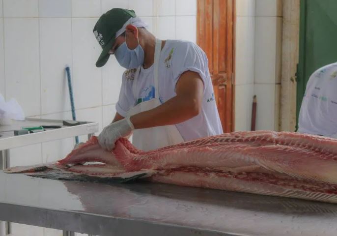 FAS realiza Feira do Pirarucu com preços a partir de R$ 7