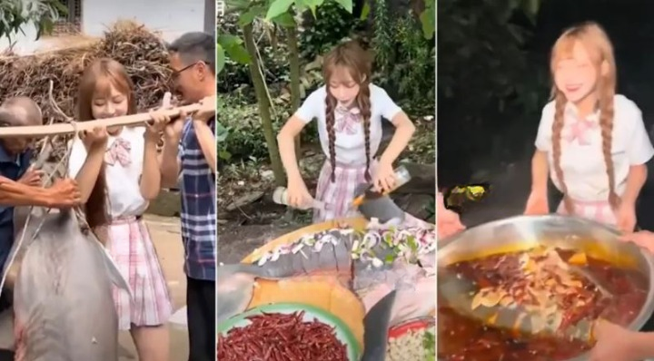 Blogueira é multada em R$ 94 mil após postar vídeo comprando e comendo tubarão branco