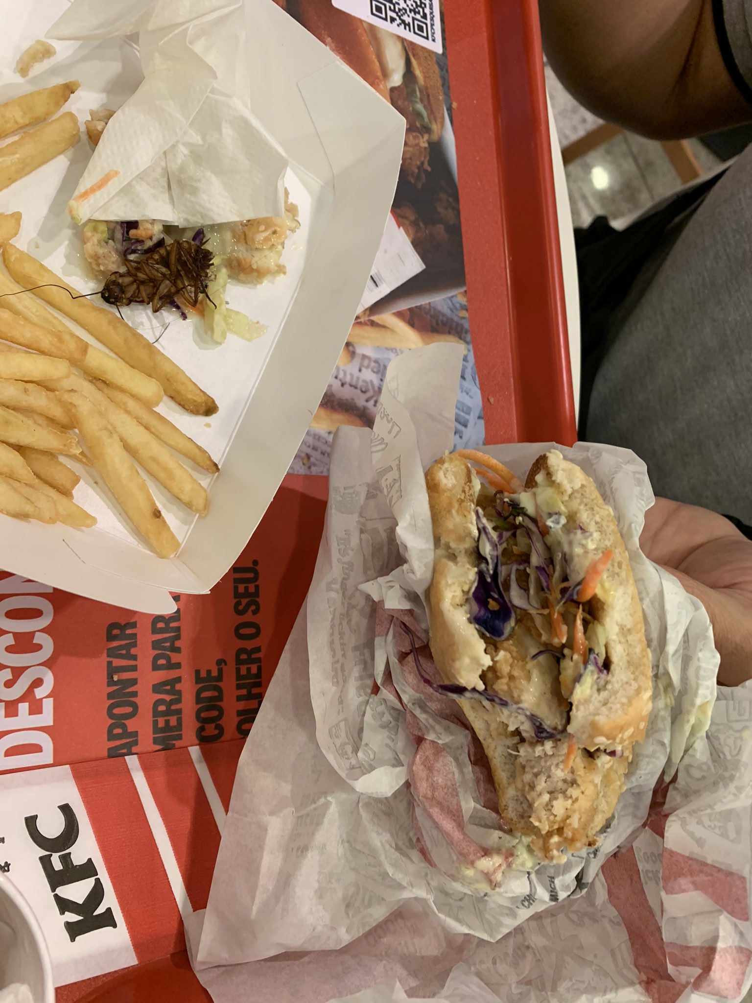 Cliente morde sanduíche de fast-food e encontra barata inteira dentro; fotos chocantes