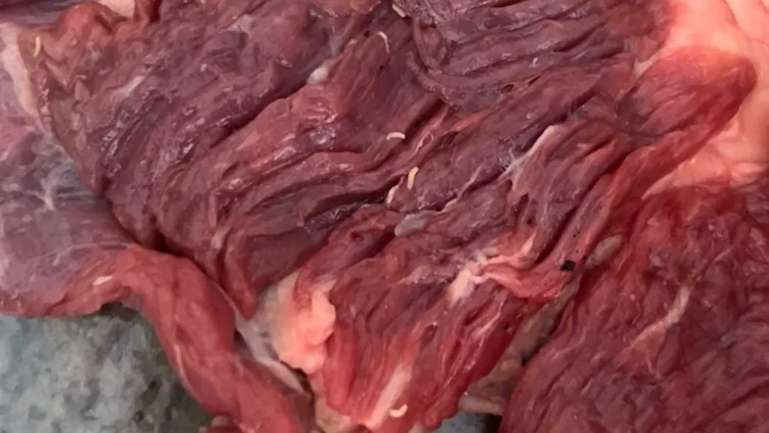 Consumidor deverá ser indenizado por supermercado que vendeu carne com larvas