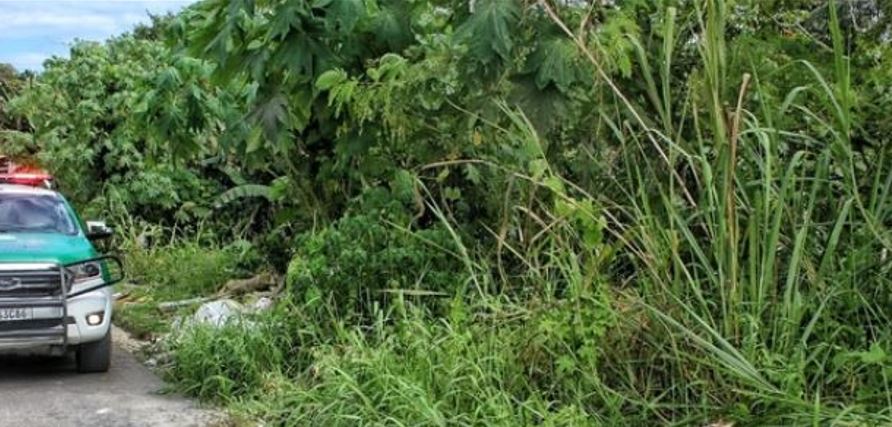 Homem é preso por oferecer carona para criança e estuprá-la em matagal no Amazonas