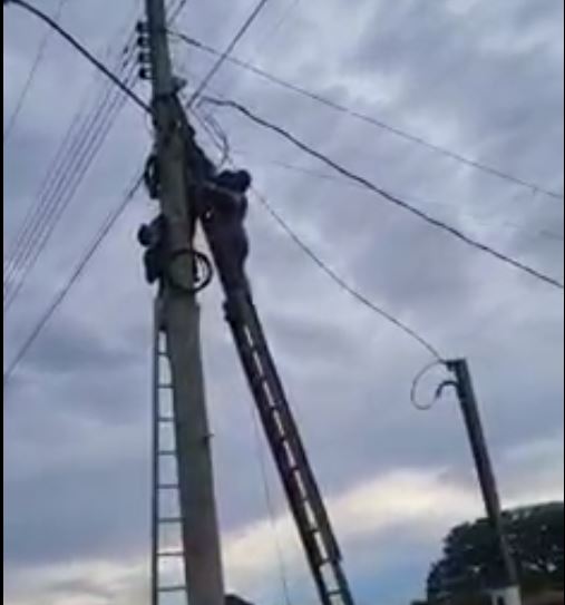 Homem fica pendurado em poste após receber descarga elétrica no Amazonas