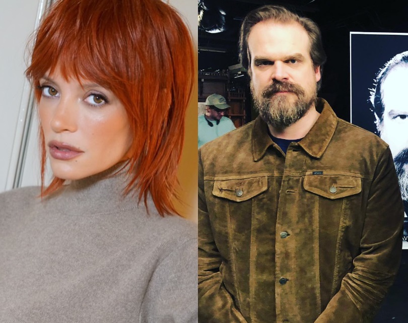 Lily Allen e David Harbour se separam após cantora descobrir perfil secreto do marido em app de namoro