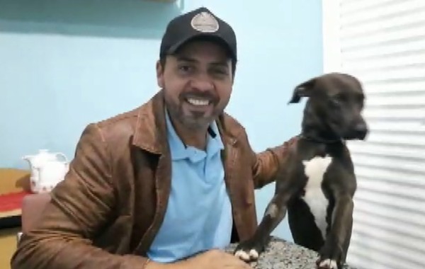 Vídeo mostra homem salvando cachorro de ataque de sucuri