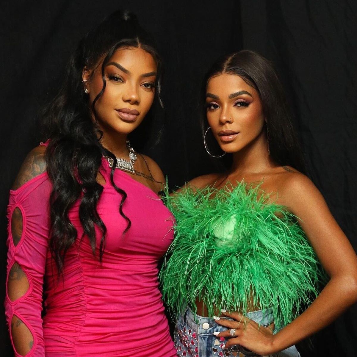  Ludmilla e Brunna Gonçalves iniciam processo de fertilização in vitro