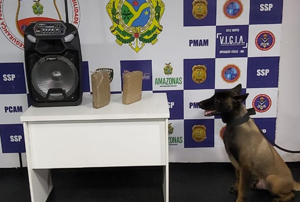 Cão da PM encontra maconha em caixas de som em barco com destino a Manaus
