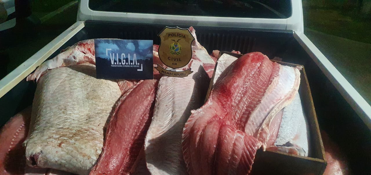 Homem é preso com 818 quilos de pescado ilegal no Amazonas