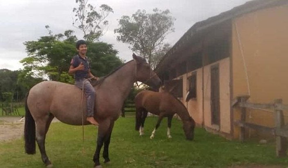 Menino morre após levar coice de cavalo