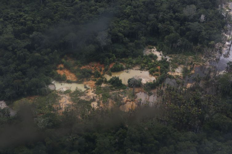 Cresce número de denúncias por crimes ligados ao garimpo na Terra Yanomami