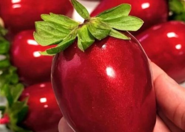 Aprenda a fazer o Morango do Amor: Oficina gratuita abre inscrições em Manaus