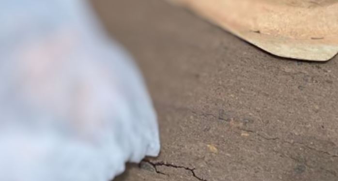 Motorista foge após matar homem atropelado em estrada do Amazonas