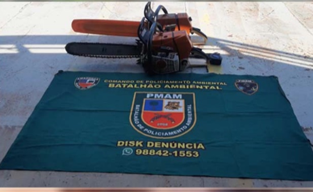 Armados com motoserras, grupo é preso por desmatamento ilegal em Manaus