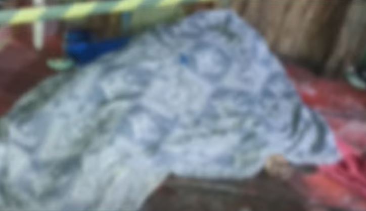 Agricultor e cachorro são executados a tiros em sítio no Amazonas