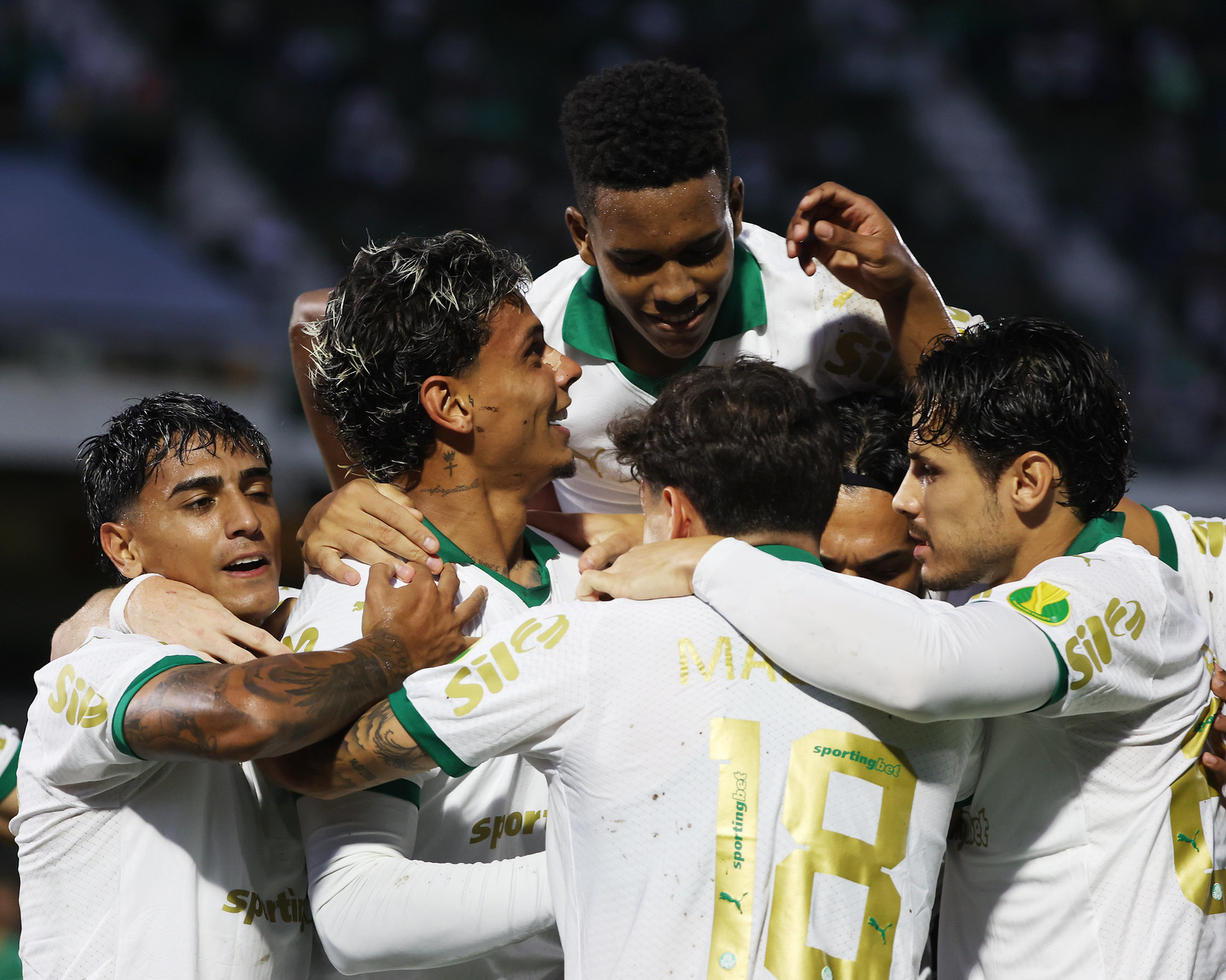 Campeonato Paulista: Palmeiras vence Guarani por 4 a 1 