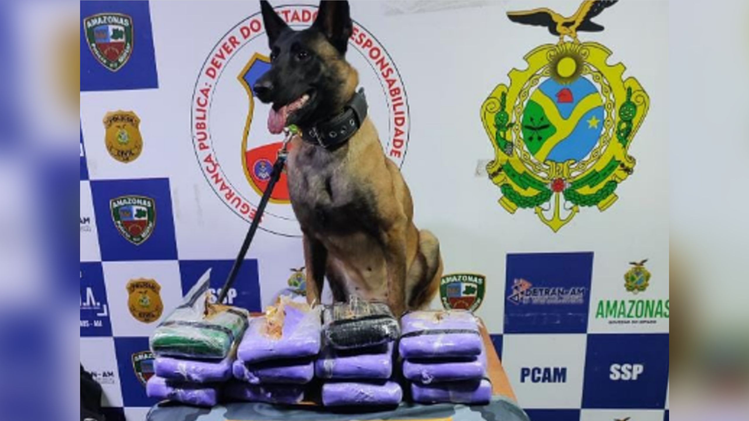 Mais de 12 kg de drogas são encontradas em fundo falso de barco no Amazonas