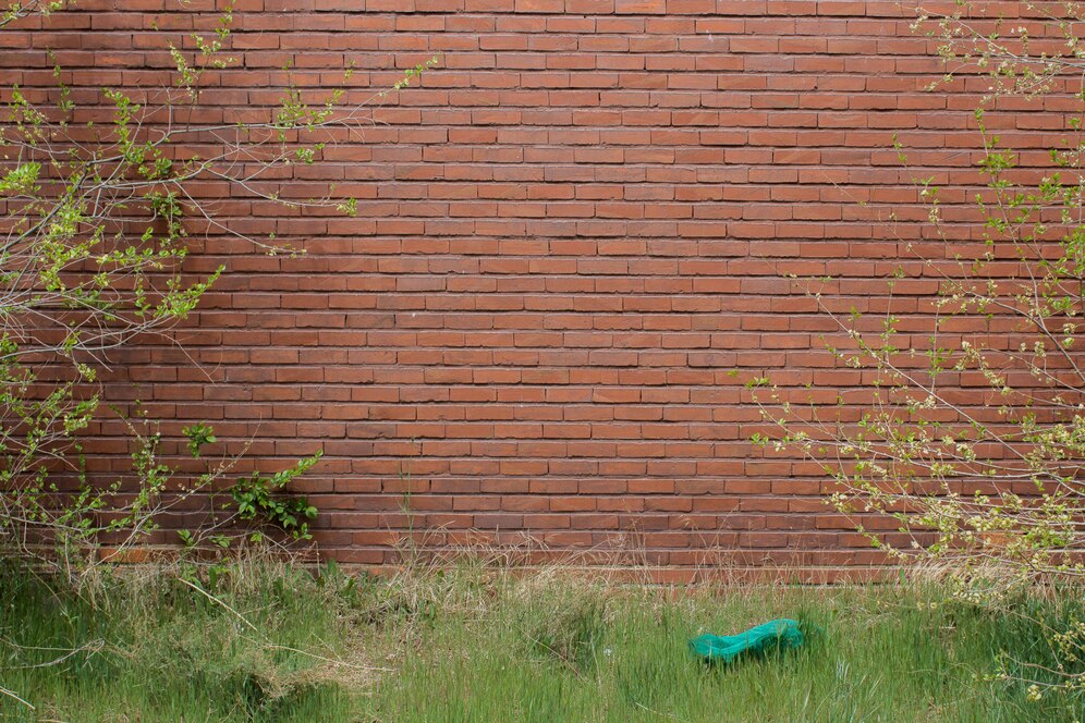 Homem escala muro de motel e foge para não pagar conta e garota de programa