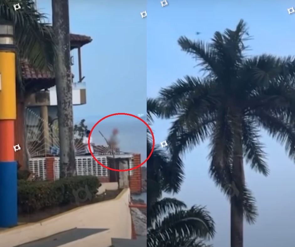 Empresário que soltou fogos de artifício em pássaros é multado em R$ 100 mil no Amazonas