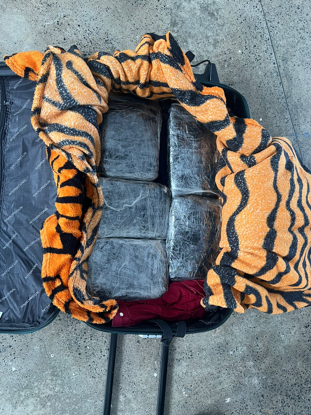 Mulher é presa ao desembarcar com drogas avaliadas em R$ 120 mil no Amazonas