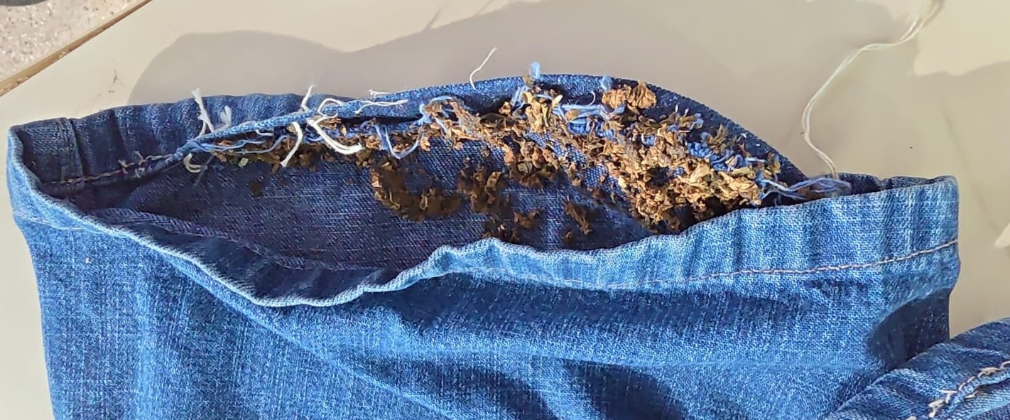 Irmãos escondem droga em costura de bermudas e acabam presos em delegacia no Amazonas