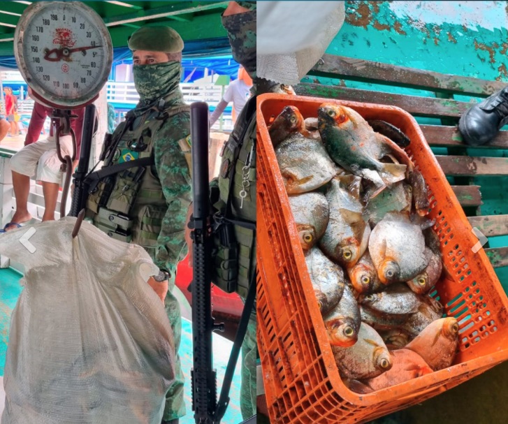 Mais de 1 tonelada de pescado no período de defeso é apreendida no porto de Manaus