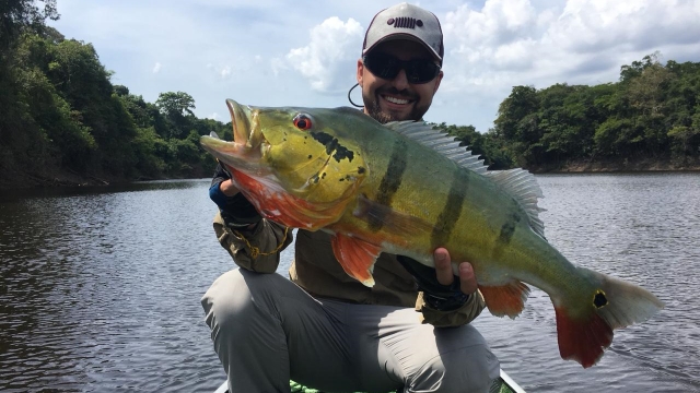 Pesca esportiva é atrativo turístico em São Sebastião do Uatumã, no Amazonas
