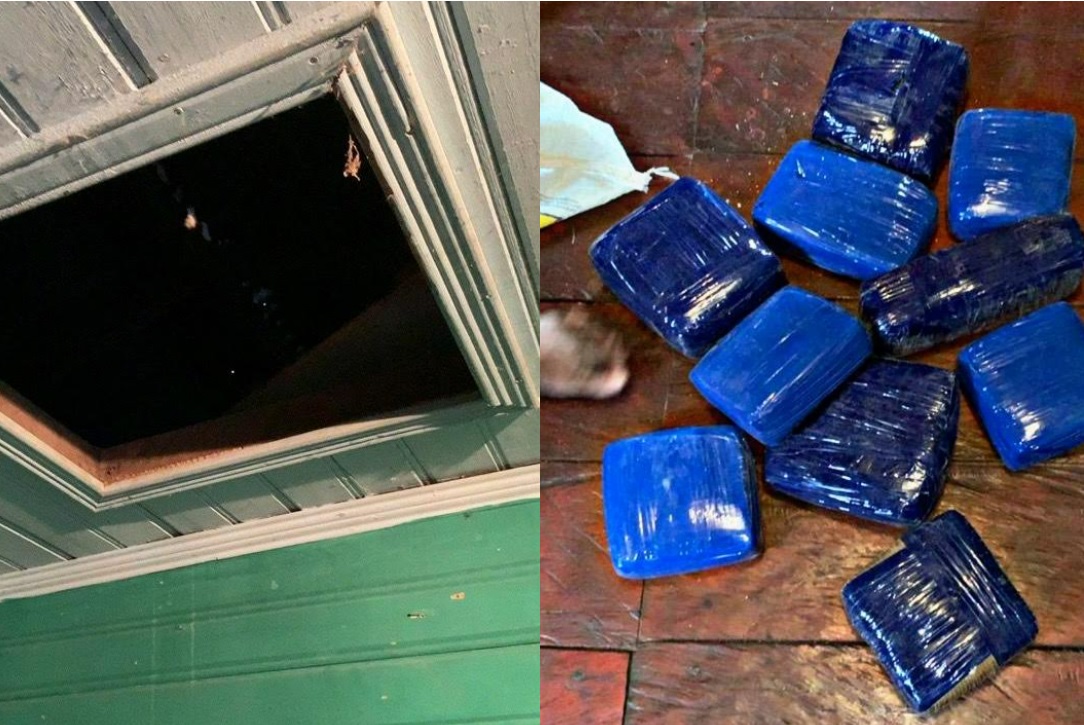 PF prende homem que escondeu 10 kg de maconha no quarto do filho no Amazonas