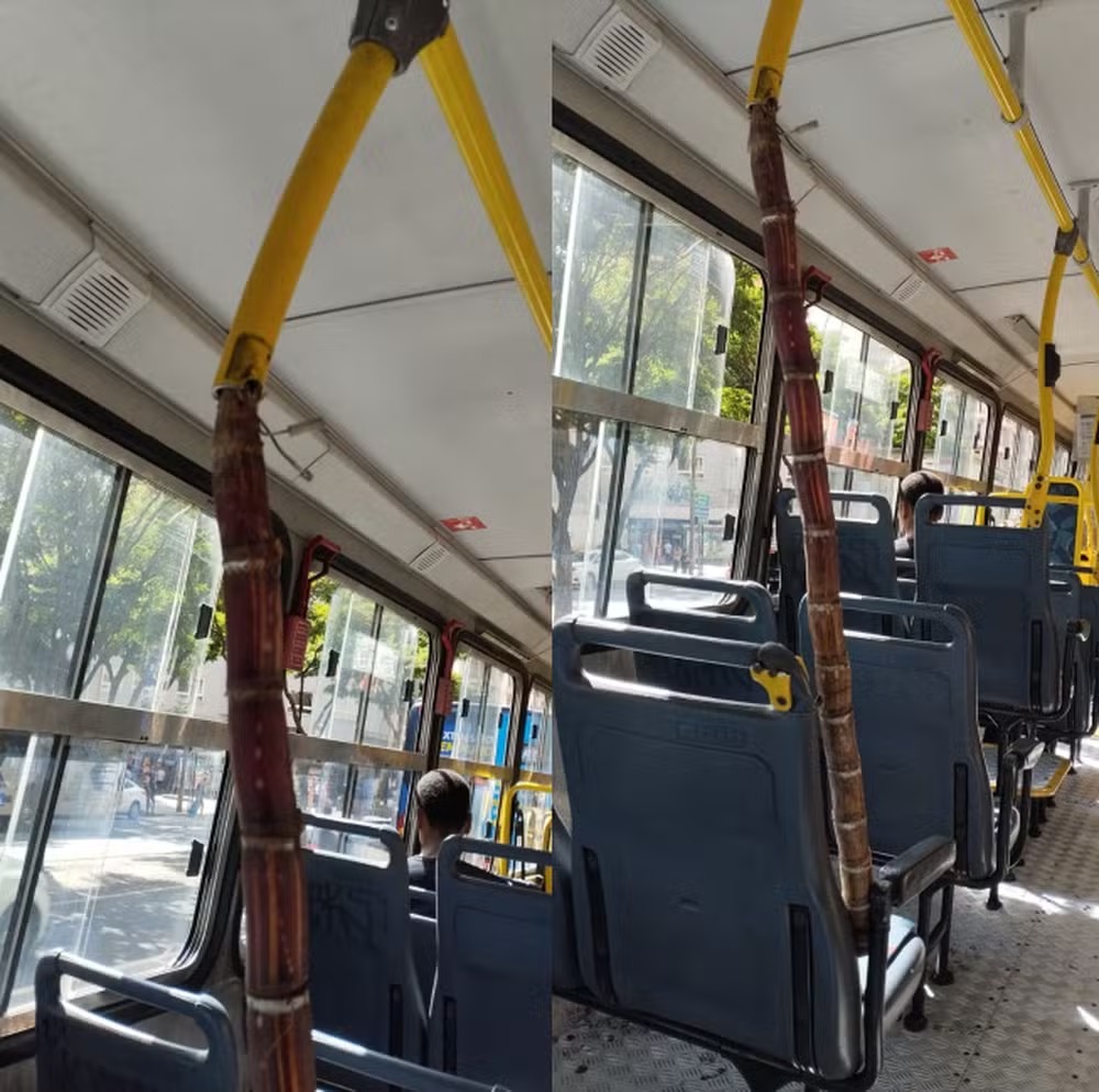 Jeitinho brasileiro: Cana de açúcar substitui barra de ferro quebrada em ônibus