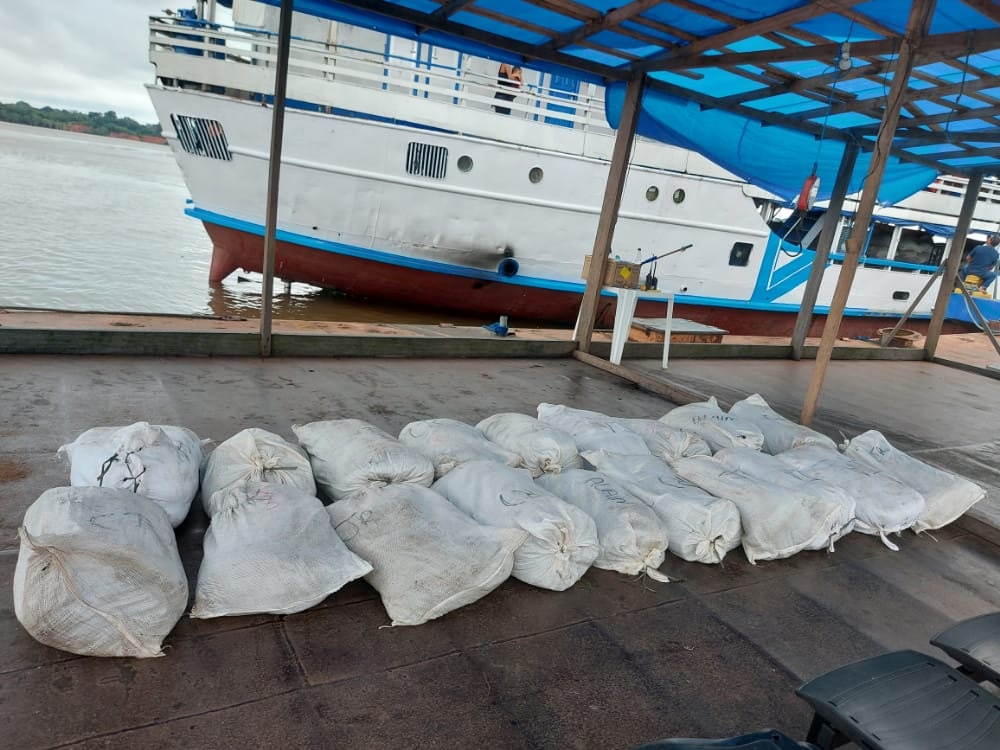 Homem é preso com mais de 800kg de pescado ilegal no Amazonas