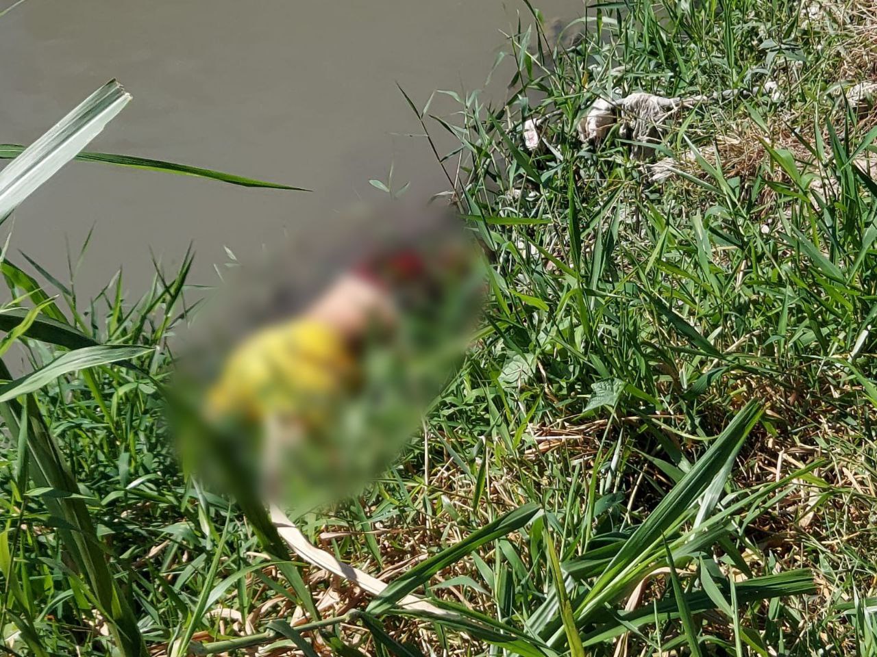 Corpo de homem é encontrado à beira de igarapé em Manaus 