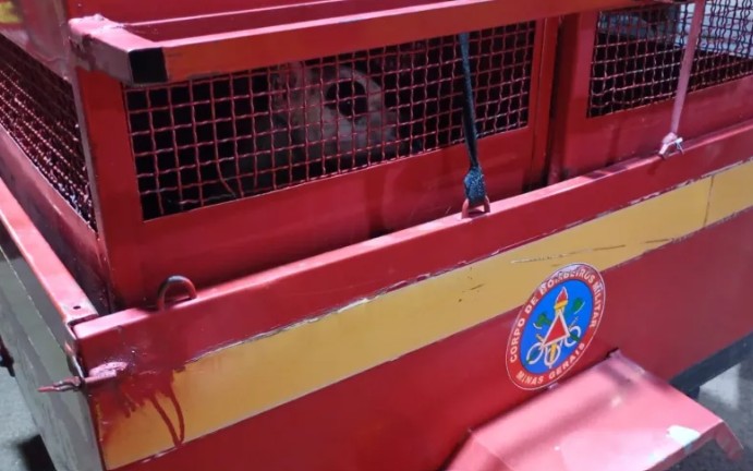 Mãe e filha de 3 anos são atacadas por pitbull recém-adotado em Minas Gerais