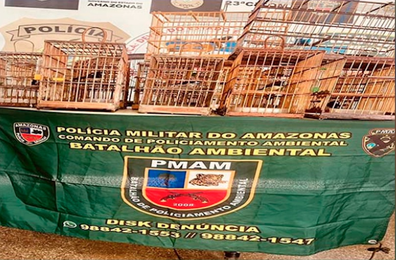 Homem é preso ao ser flagrado com 16 aves silvestres em Manaus