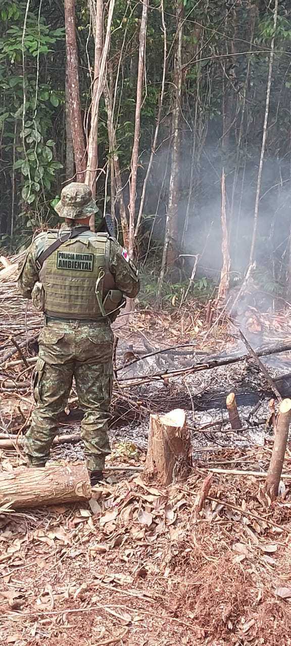 Casal é preso por invadir e incendiar terreno em ramal na AM-010