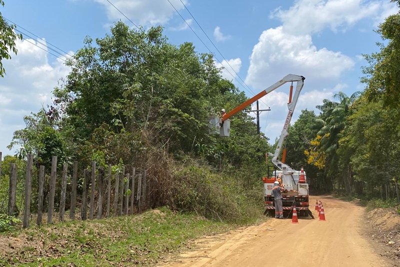 Nova lei  federal permite que cidadão corte árvore por conta própria; entenda