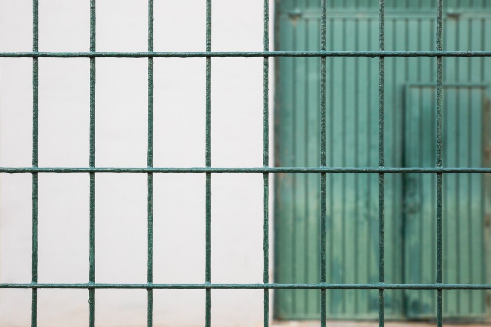 STF retoma julgamento sobre legalidade de revista íntima nos presídios