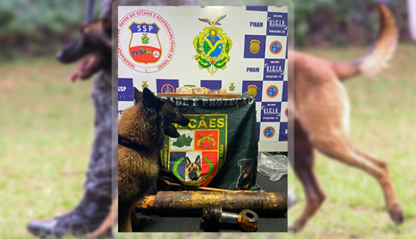 Cão policial Tyson encontra porções de cocaína, avaliada em R$ 87 mil, em barco no Amazonas