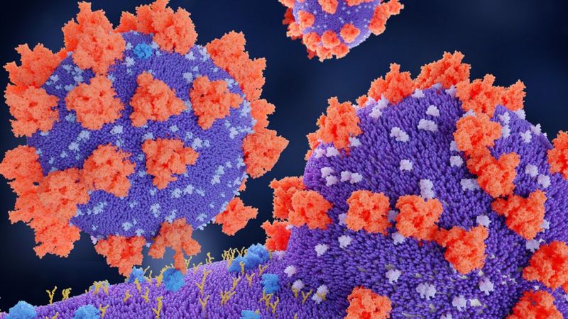 Variantes que surgiram no Amazonas e na Índia dominam casos de covid no Brasil