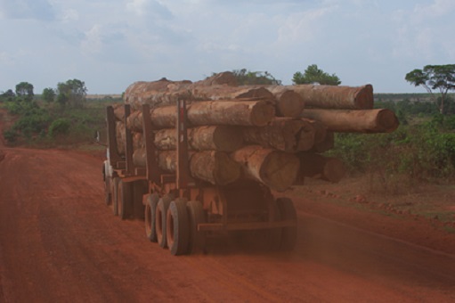 Empresários são denunciados por exportar madeira ilegal do Amazonas para China