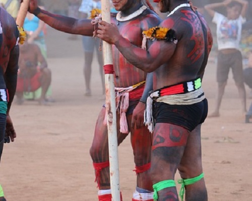 MPF vê indícios de irregularidades em venda de NFTs em terras indígenas no Amazonas