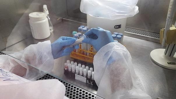 Amazonas registra 5 novos casos de Covid-19 no primeiro dia do ano