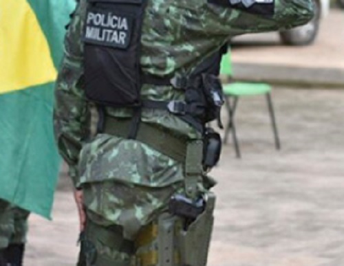 Polícia apreende carregamento com carvão ilegal na AM-010