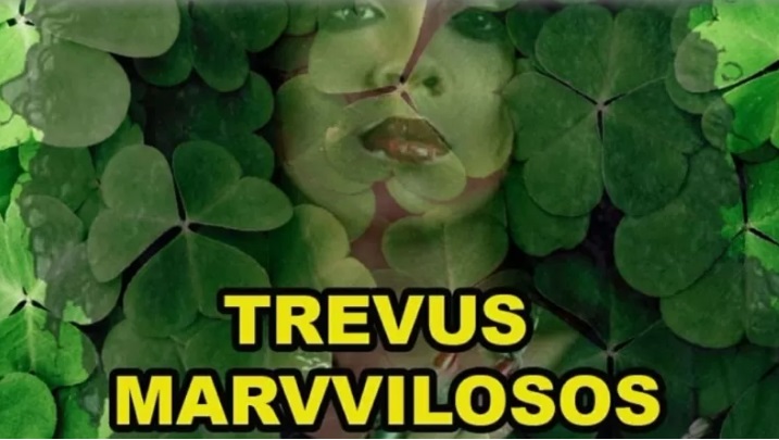 Boninho debocha de sister no BBB23: 'Trevus Marvvilosos'