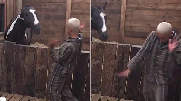 A Fazenda: Cavalo Colorado avança em WL