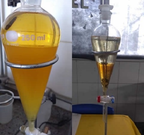 Alunos encontram biodiesel a partir de óleo residual em pesquisa no Amazonas