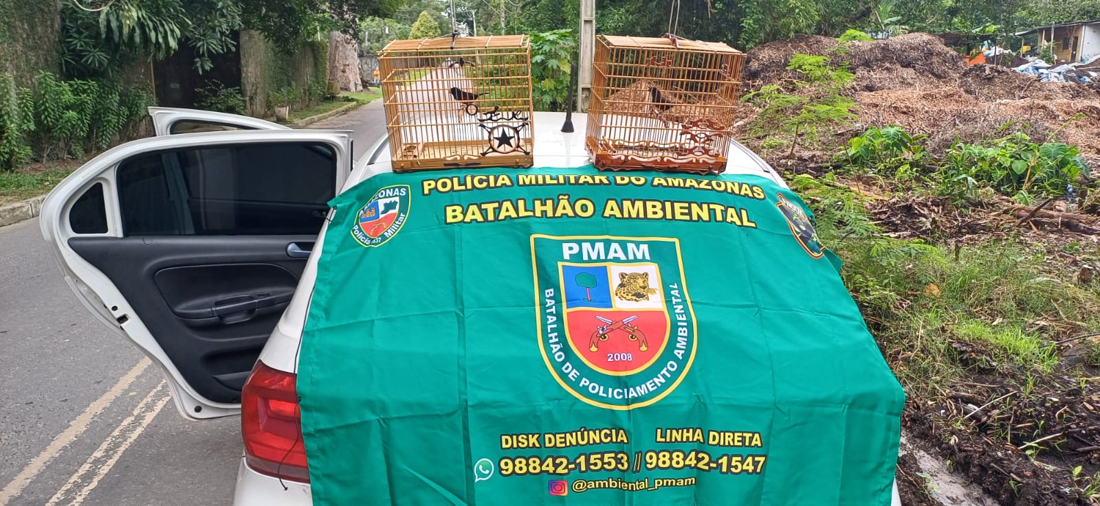Polícia apreende cerca de 13 metros cúbicos de madeira e pássaros no Amazonas