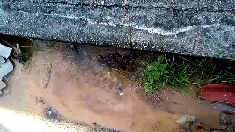 Morador denuncia vazamento de água por três dias em rua de Manaus; vídeo