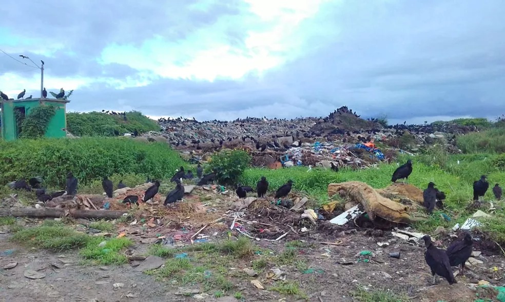 Lixão revela problemas na gestão de 16 cidades do Amazonas; confira lista