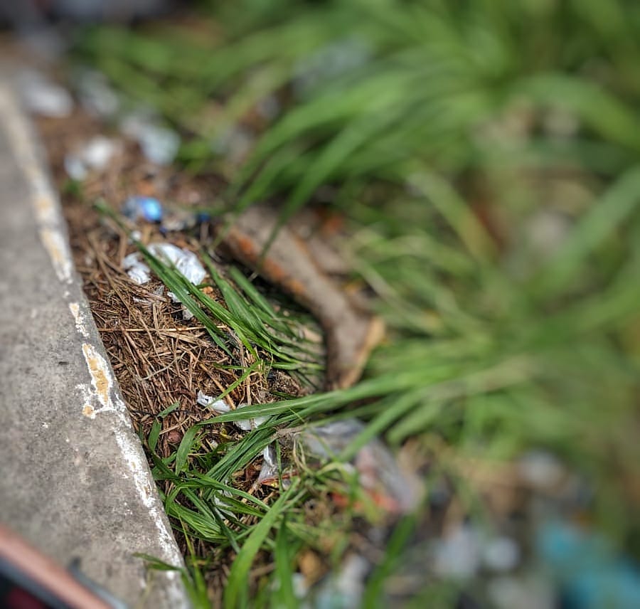 Perna humana é achada um dia após moradores encontraram tronco e cabeça em Manaus